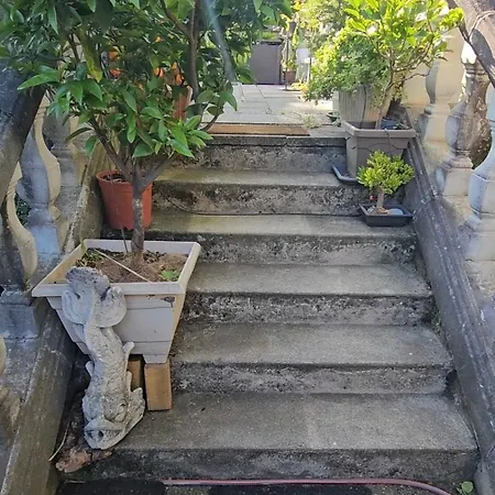 Lejlighed With Terrace Nidau